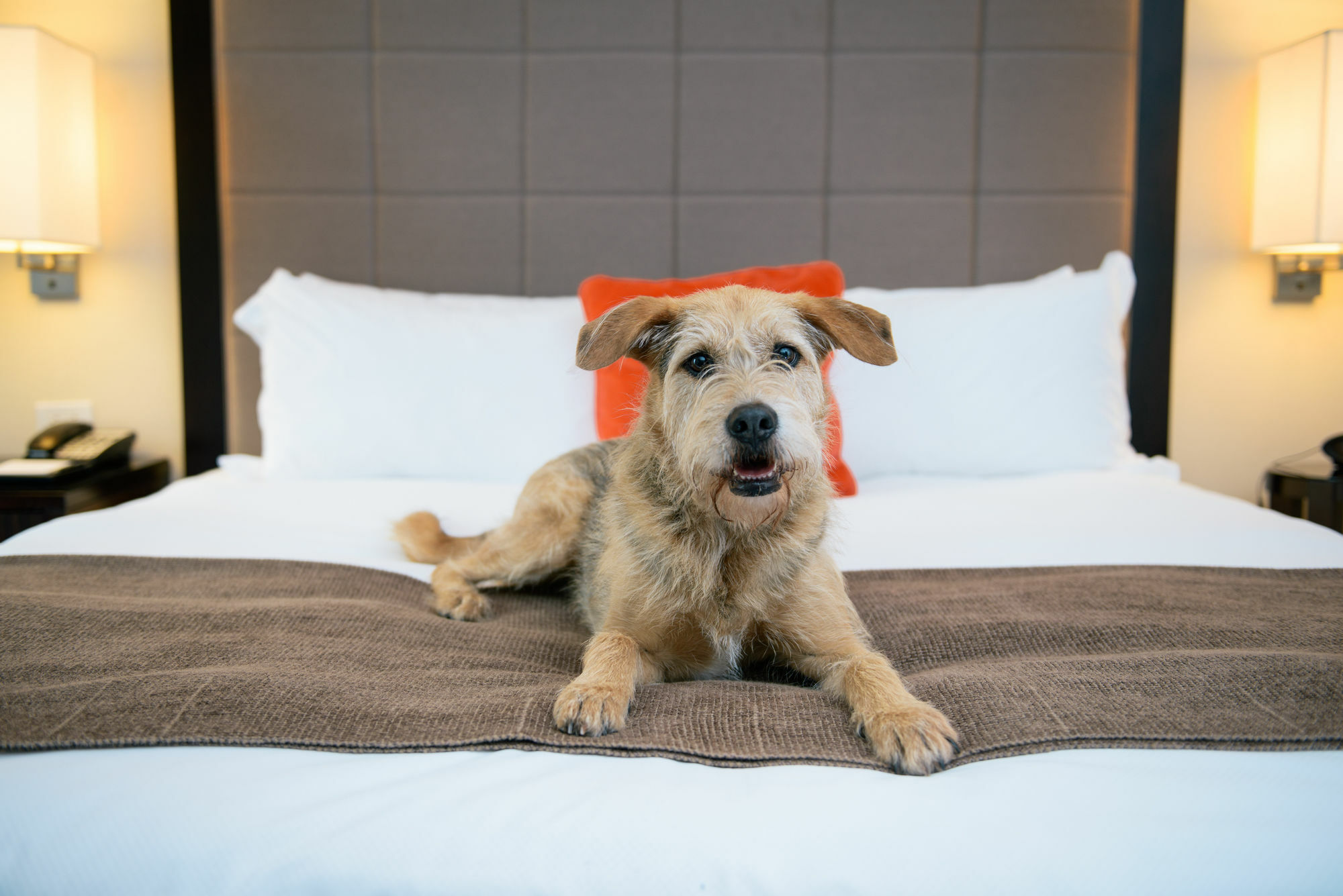 Candlewood Suites - Bluffton-Hilton Head By Ihg Exteriér fotografie